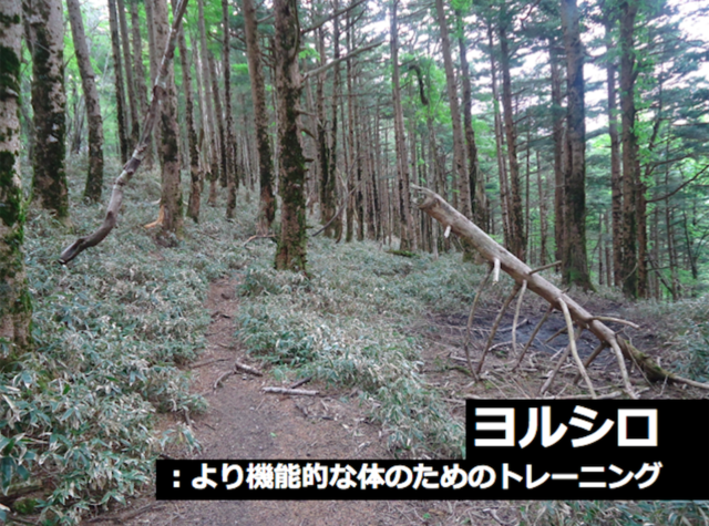 スクリーンショット 2018-01-20 14.53.34.png