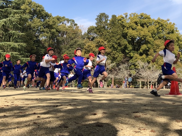 IMG_0808.jpeg