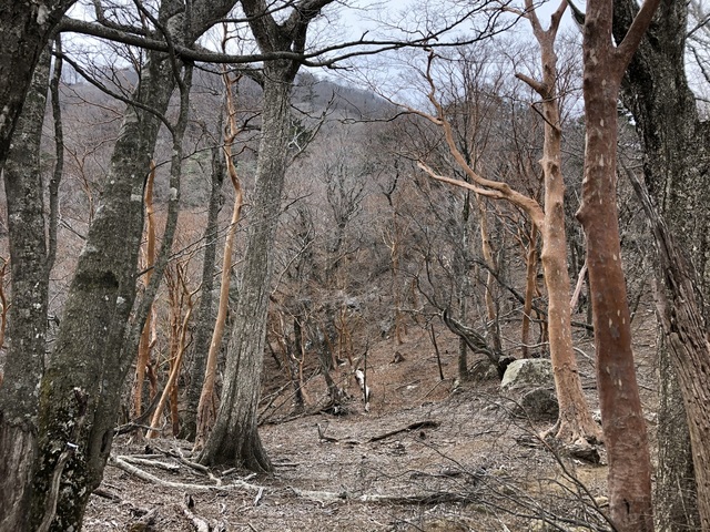 IMG_1802.jpeg