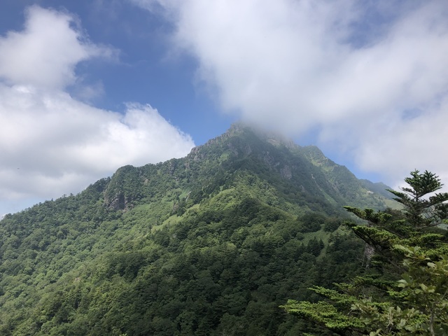 IMG_7167.jpeg